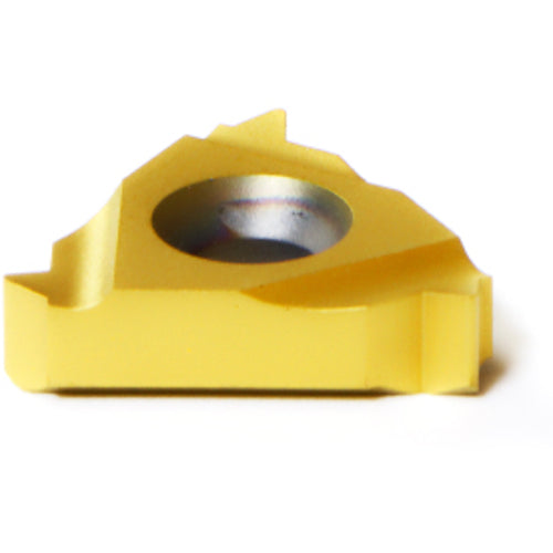 16 ER 2.0 ISO MXC THREADING INSERT - A1 Tooling