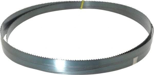 Starrett - 6 TPI, 10' Long x 3/4" Wide x 0.032" Thick, Welded Band Saw Blade - Carbon Steel, Toothed Edge, Raker Tooth Set, Flexible Back, Contour Cutting - A1 Tooling