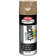 Krylon - Khaki (Color), 12 oz Net Fill, Gloss, Lacquer Spray Paint - 15 to 20 Sq Ft per Can, 16 oz Container, Use on Cabinets, Color Coding Steel & Lumber, Conduits, Drums, Ducts, Furniture, Motors, Pipelines, Tools - A1 Tooling