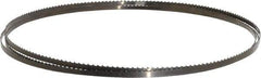 Disston - 6 TPI, 7' 9-1/2" Long x 1/4" Wide x 0.025" Thick, Welded Band Saw Blade - Carbon Steel, Toothed Edge, Raker Tooth Set, Flexible Back, Contour Cutting - A1 Tooling