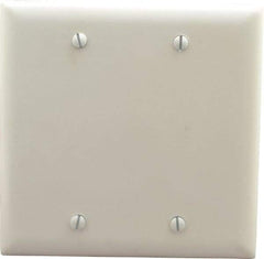 Pass & Seymour - 2 Gang, 4-3/4 Inch Long x 4-11/16 Inch Wide, Standard Blank Wall Plate - Blank, White, Nylon - A1 Tooling