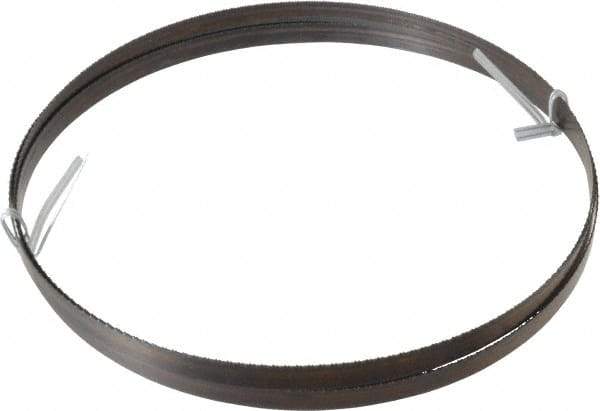 Disston - 18 TPI, 7' 9-1/2" Long x 1/2" Wide x 0.025" Thick, Welded Band Saw Blade - Carbon Steel, Toothed Edge, Raker Tooth Set, Hard Back, Contour Cutting - A1 Tooling