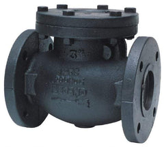 Legend Valve - 2-1/2" Cast Iron Check Valve - Inline, Flanged - A1 Tooling