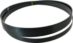 Starrett - 6 TPI, 10' 8" Long x 1" Wide x 0.035" Thick, Welded Band Saw Blade - Carbon Steel, Toothed Edge, Raker Tooth Set, Flexible Back, Contour Cutting - A1 Tooling