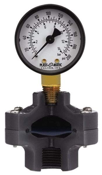 Plast-O-Matic - 15 Max psi, 2 Inch Dial Diameter, PVC Pressure Gauge Guard and Isolator - 3% Accuracy - A1 Tooling