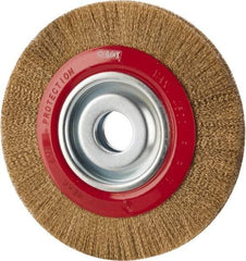 Value Collection - 8" OD, 1-1/4" Arbor Hole, Crimped Brass-Coated Steel Wheel Brush - 3/4" Face Width, 1-11/32" Trim Length, 0.007" Filament Diam, 4,500 RPM - A1 Tooling