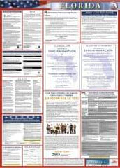 NMC - 24" Wide x 40" High Laminated Paper Labor Law Information Poster - Florida Jurisdiction, 0.03" Thick, Spanish - A1 Tooling