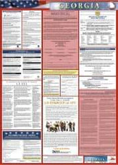 NMC - 24" Wide x 40" High Laminated Paper Labor Law Information Poster - Georgia Jurisdiction, 0.03" Thick, Spanish - A1 Tooling