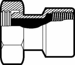 2″ Bevel Seat Style Sanitary Stainless Steel Pipe Adapter Nut x FNPT Connections, Grade 316/316L