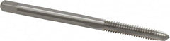 Interstate - #6-36 UNS 3B 3 Flute Bright Finish High Speed Steel Straight Flute Standard Hand Tap - Plug, Right Hand Thread, 2" OAL, H2 Limit, Oversize - Exact Industrial Supply