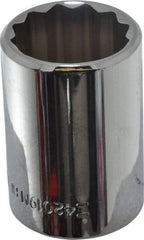 Blackhawk by Proto - 1/2" Drive, Standard Hand Socket - 12 Points, 1-1/2" OAL, Chrome Finish - A1 Tooling