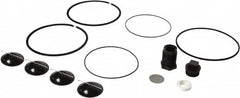 Tuthill - Repair Part Kit - For Use with Diaphragm Pumps - A1 Tooling