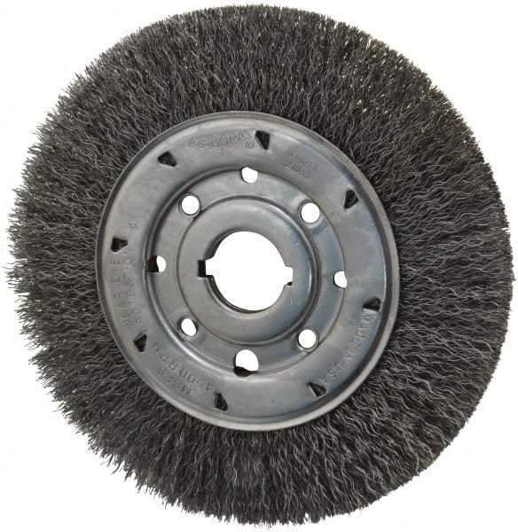 Osborn - 8" OD, 1-1/4" Arbor Hole, Crimped Steel Wheel Brush - 5/8" Face Width, 1-1/2" Trim Length, 0.014" Filament Diam, 4,500 RPM - A1 Tooling