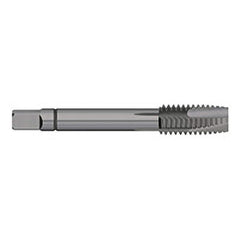 Spiral Point Tap: 1/4-28, UNF, 3 Flutes, Plug, 2B/3B, Powdered Metal, Steam Oxide Finish 3/4″ Thread Length, 2-1/2″ OAL, Right Hand, H3, Series 771