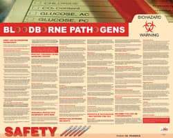 NMC - 30" Wide x 24" High Laminated Paper Bloodborne Pathogens Information Poster - English - A1 Tooling