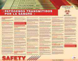 NMC - 30" Wide x 24" High Laminated Paper Bloodborne Pathogens Information Poster - Spanish - A1 Tooling