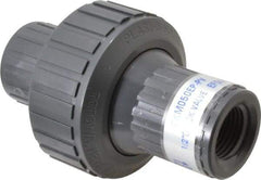 Plast-O-Matic - 1/2" PVC Check Valve - Inline, FNPT x FNPT, 150 WOG - A1 Tooling