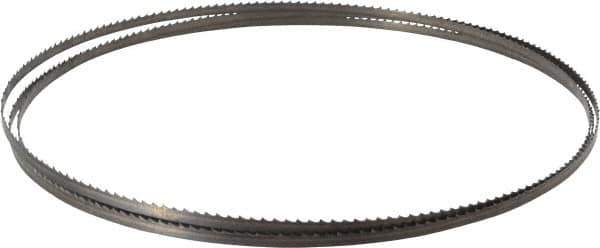 Starrett - 6 TPI, 7' 9" Long x 1/4" Wide x 0.025" Thick, Welded Band Saw Blade - Carbon Steel, Toothed Edge, Raker Tooth Set, Flexible Back, Contour Cutting - A1 Tooling