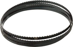 Starrett - 3 TPI, 19' 6" Long x 1/2" Wide x 0.025" Thick, Welded Band Saw Blade - Carbon Steel, Toothed Edge, Raker Tooth Set, Flexible Back, Contour Cutting - A1 Tooling