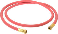 Coilhose Pneumatics - Paint Sprayer Hose with Fittings - Fixture, Compatible with Paint Sprayers - A1 Tooling