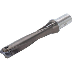 Replaceable Tip Drill: 25 to 25.9 mm Drill Dia, 128.9 mm Max Depth, 32 mm Weldon Flat Shank Uses SMP & SMF Inserts, 223.7 mm OAL, Through Coolant