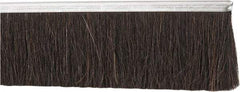 PRO-SOURCE - 1/2" Back Strip Brush Width, Metal Back Horsehair Strip Brush - 3" Bristle Length, Horsehair, 72" OAL - A1 Tooling