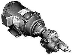 Pentair - 17-1/2 Inch Long, Close Coupled-Mount Gear Close Coupled Mount Gear Pump - ODP, 7 Max GPM - A1 Tooling