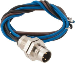 Brad Harrison - 4 Amp, M8 Male Straight Receptacle - 60 VAC, 75 VDC, 0.30m Cable Length, IP67 Ingress Rating - A1 Tooling