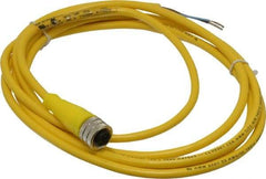 Brad Harrison - 4 Amp, M12 Female Straight to Pigtail Cordset Sensor and Receptacle - 250 VAC/VDC, 2m Cable Length, IP67 Ingress Rating - A1 Tooling