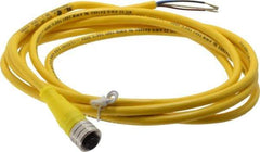 Brad Harrison - 4 Amp, M12 Female Straight to Pigtail Cordset Sensor and Receptacle - 250 VAC/VDC, 2m Cable Length, IP67 Ingress Rating - A1 Tooling