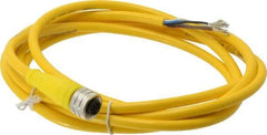 Brad Harrison - 4 Amp, M12 Female Straight to Pigtail Cordset Sensor and Receptacle - 250 VAC/VDC, 2m Cable Length, IP67 Ingress Rating - A1 Tooling