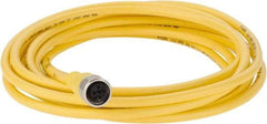 Brad Harrison - Female Straight Cordset Sensor and Receptacle - 250 VAC/VDC, 4m Cable Length, IP68 Ingress Rating - A1 Tooling