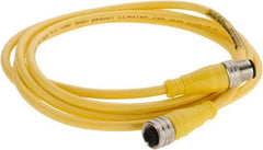 Brad Harrison - Female to Male Cordset Sensor and Receptacle - 250 VAC/VDC, 2m Cable Length, IP68 Ingress Rating - A1 Tooling