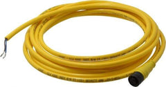 Brad Harrison - Female Straight Cordset Sensor and Receptacle - 250 VAC/VDC, 12 Ft. Long Cable, IP68 Ingress Rating - A1 Tooling