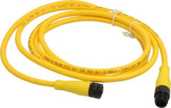 Brad Harrison - Female to Male Cordset Sensor and Receptacle - 250 VAC/VDC, 6 Ft. Long Cable, IP68 Ingress Rating - A1 Tooling