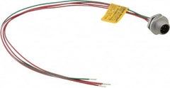 Brad Harrison - 4 Amp, 1/2-20 UNF Male Straight Receptacle - 250 VAC/VDC, 0.31m Cable Length, IP67 Ingress Rating - A1 Tooling