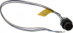 Brad Harrison - 4 Amp, M12 Female Straight Receptacle - 250 VAC/VDC, 0.31m Cable Length, IP67 Ingress Rating - A1 Tooling