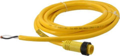 Brad Harrison - 13 Amp, Male Straight to Pigtail Cordset Sensor and Receptacle - 600 Volt, 3.66m Cable Length, IP67 Ingress Rating - A1 Tooling