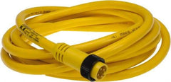 Brad Harrison - 10 Amp, Male Straight to Pigtail Cordset Sensor and Receptacle - 600 Volt, 3.66m Cable Length, IP67 Ingress Rating - A1 Tooling