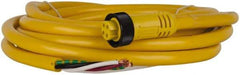 Brad Harrison - 10 Amp, Female Straight to Pigtail Cordset Sensor and Receptacle - 600 Volt, 3.66m Cable Length, IP67 Ingress Rating - A1 Tooling