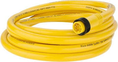 Brad Harrison - 8 Amp, Male Straight to Pigtail Cordset Sensor and Receptacle - 600 Volt, 3.66m Cable Length, IP67 Ingress Rating - A1 Tooling