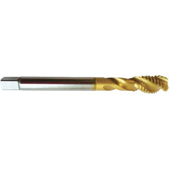 Guhring - 1/2-20 UNF 3 Flute 2BX Modified Bottoming Spiral Flute Tap - High Speed Steel, TiN Finish, 3.937" OAL, Right Hand Flute, Right Hand Thread, H5/H6, Series 4393 - A1 Tooling