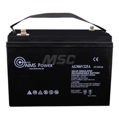 AGM Battery: Lead-Acid 6V, Nut & Bolt Terminal