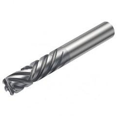 2P460-1600-NA 1630 16mm 6 FL Straight Center Cut w/Cylindrical Shank - A1 Tooling