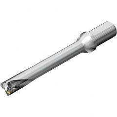 Sandvik Coromant - 7.434" Max Drill Depth, 7xD, 1.062" Diam, Indexable Insert Drill - A1 Tooling