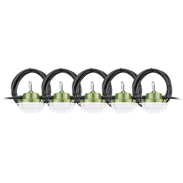 PowerSmith - Temporary String Lights Number of Sockets: 5 Cord Length (Feet): 50.00 - A1 Tooling