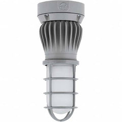 Hubbell Lighting - Hazardous Location Light Fixtures Resistance Features: Vaporproof Recommended Environment: Indoor; Outdoor - A1 Tooling