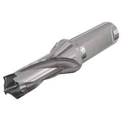 Iscar - Replaceable-Tip Drills Series: LogIQ3Cham Minimum Drill Diameter (mm): 17.00 - A1 Tooling