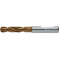 Walter-Titex - 17.5mm 140° Spiral Flute Solid Carbide Screw Machine Drill Bit - A1 Tooling