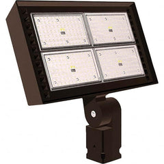 Hubbell Lighting - Floodlight Fixtures Mounting Type: Trunnion Mount Housing Color: Bronze - A1 Tooling